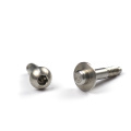 Dongguan factory manufactures special head screws with low wholesale price